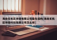 海南玄机区块链有限公司股东结构[海南玄机区块链科技有限公司怎么样]