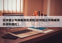 区块链公司杨峰简历资料[区块链公司杨峰简历资料图片]