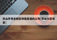 乐山开发定制区块链靠谱的公司[乐山大型项目]
